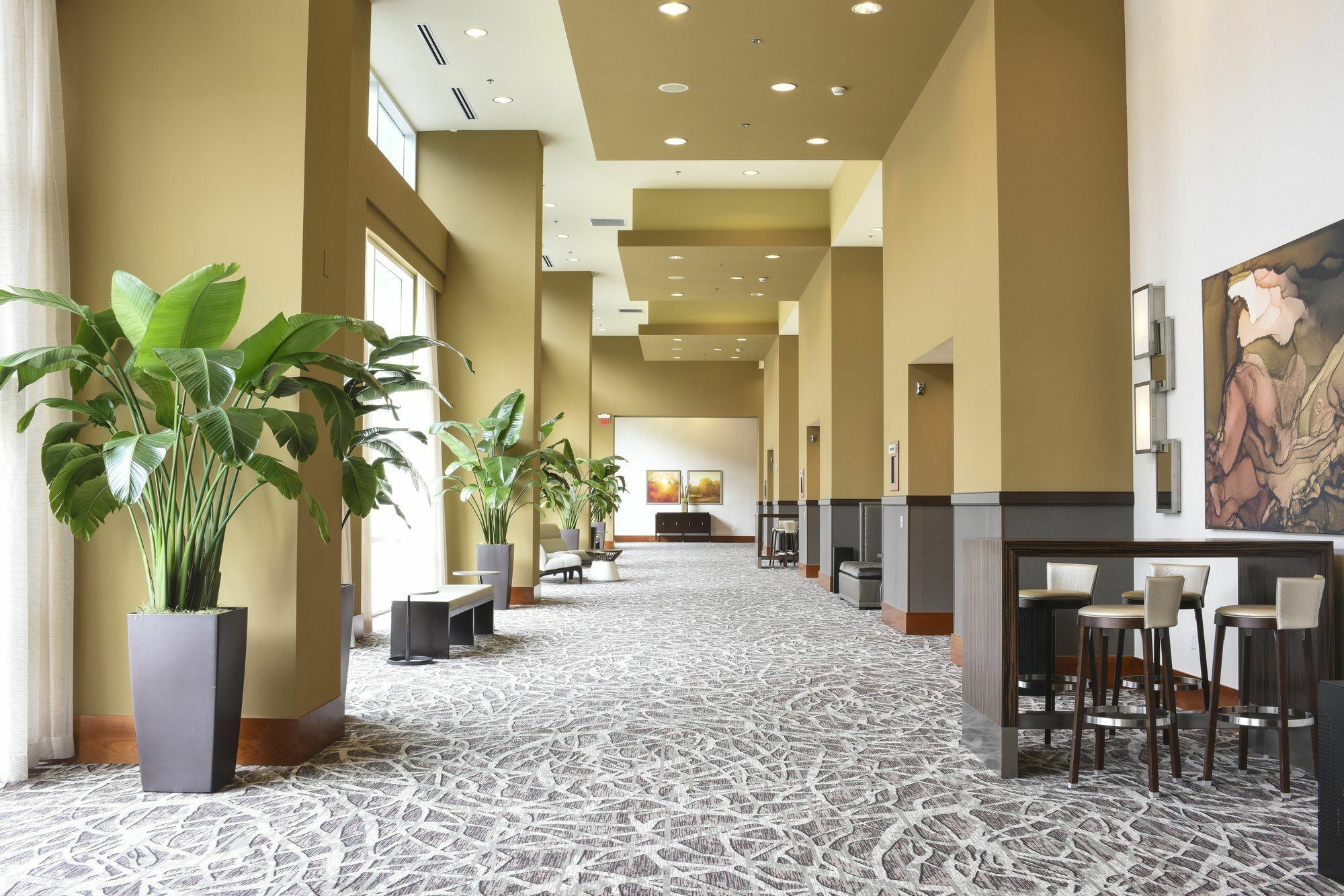 Raleigh Marriott City Center Hotel Bagian luar foto